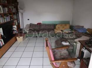 immagine annuncio 4 di 14