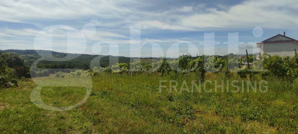 immagine annuncio 2 di 6