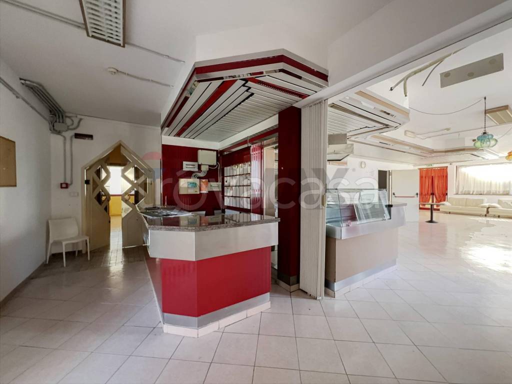 immagine annuncio 9 di 15