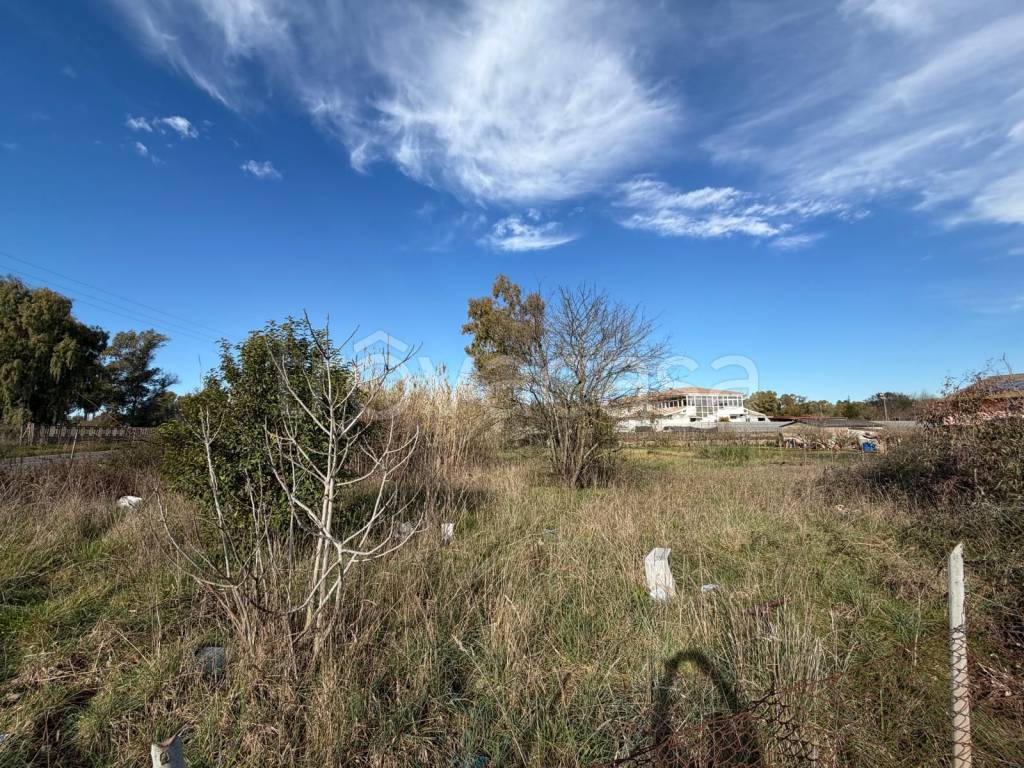 immagine annuncio 4 di 9