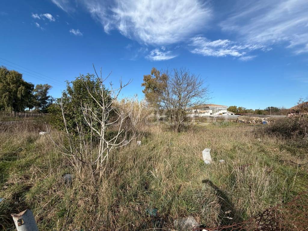 immagine annuncio 6 di 9