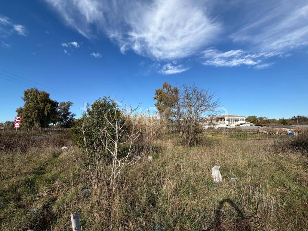 immagine annuncio 7 di 9