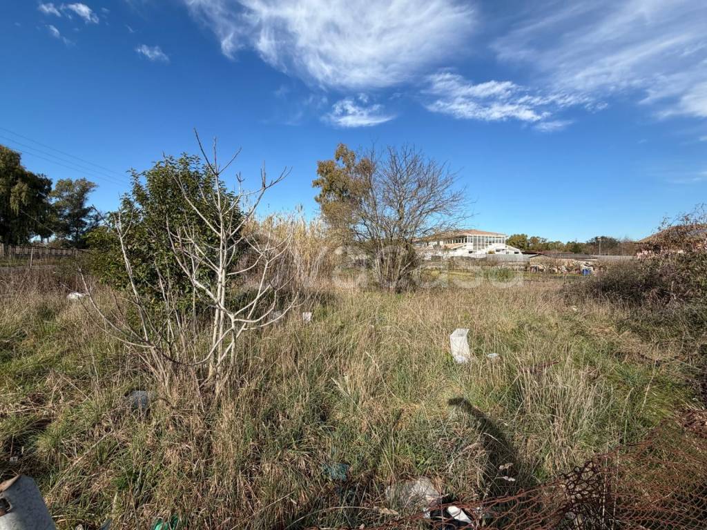 immagine annuncio 8 di 9