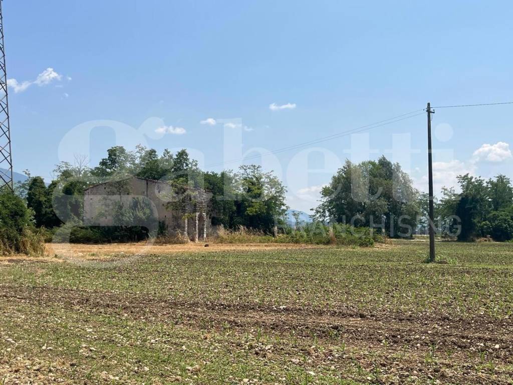 immagine annuncio 4 di 11