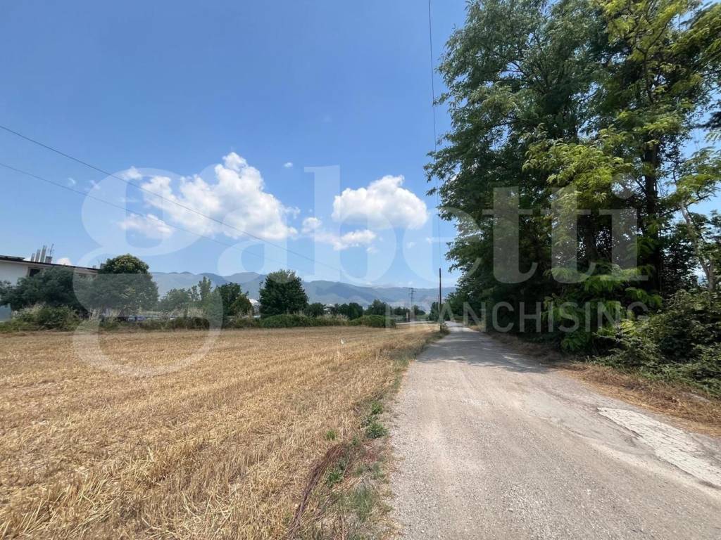 immagine annuncio 7 di 11