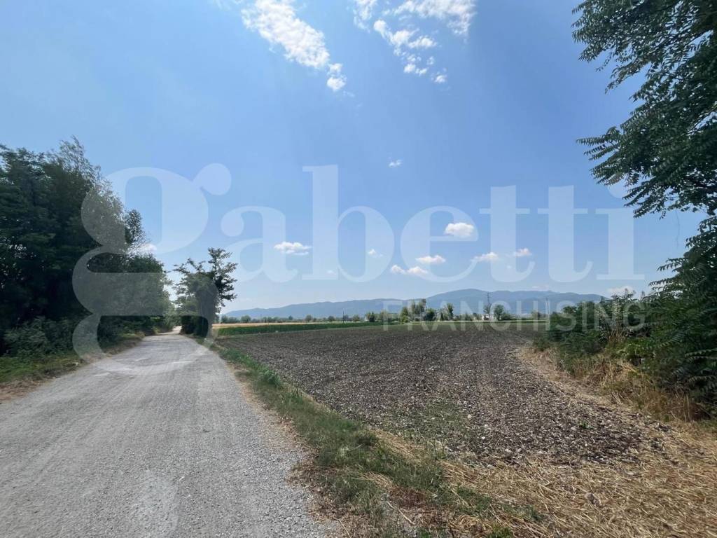 immagine annuncio 8 di 11