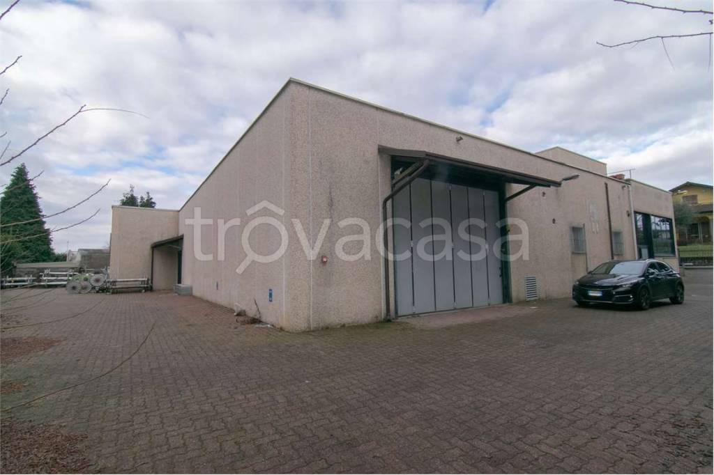 immagine annuncio 4 di 15