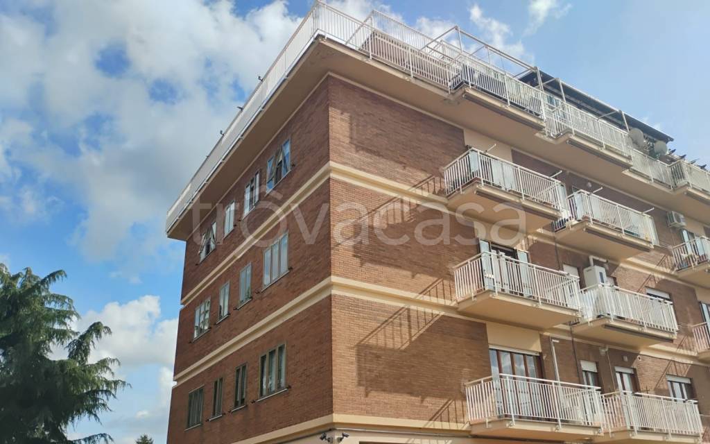 immagine annuncio 12 di 13