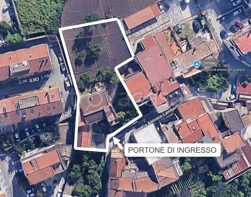 immagine annuncio 6 di 9