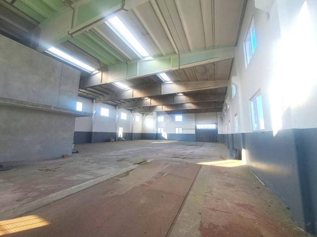 immagine annuncio 2 di 14