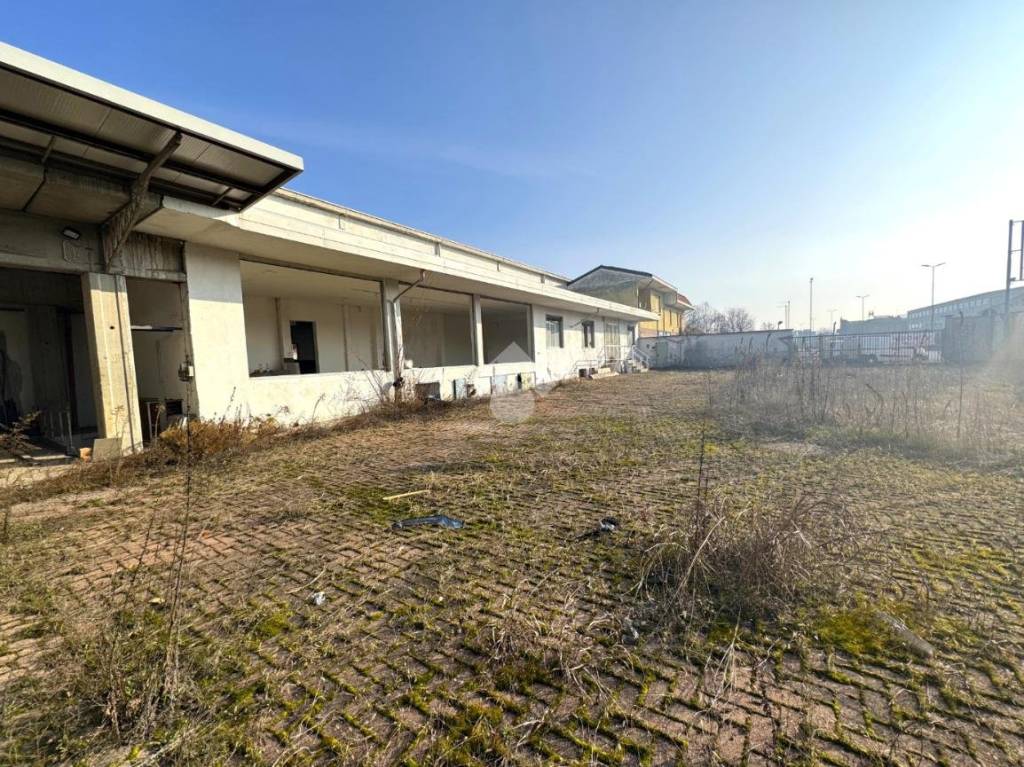 immagine annuncio 5 di 14