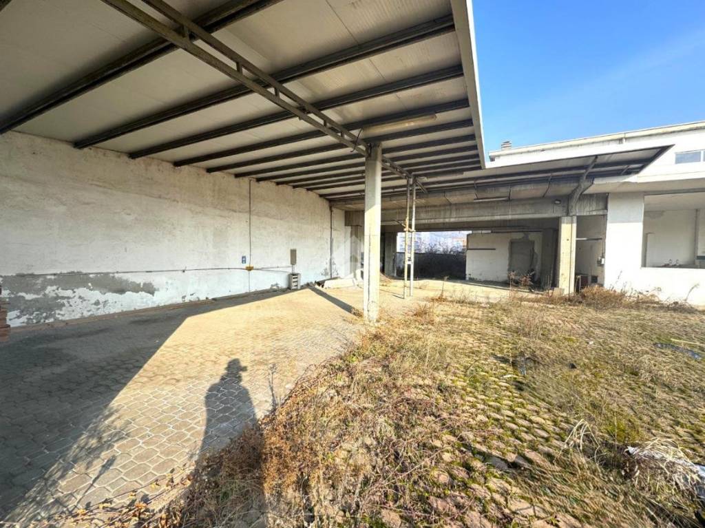 immagine annuncio 8 di 14