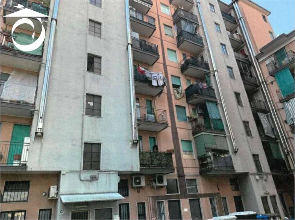 immagine annuncio 1 di 14