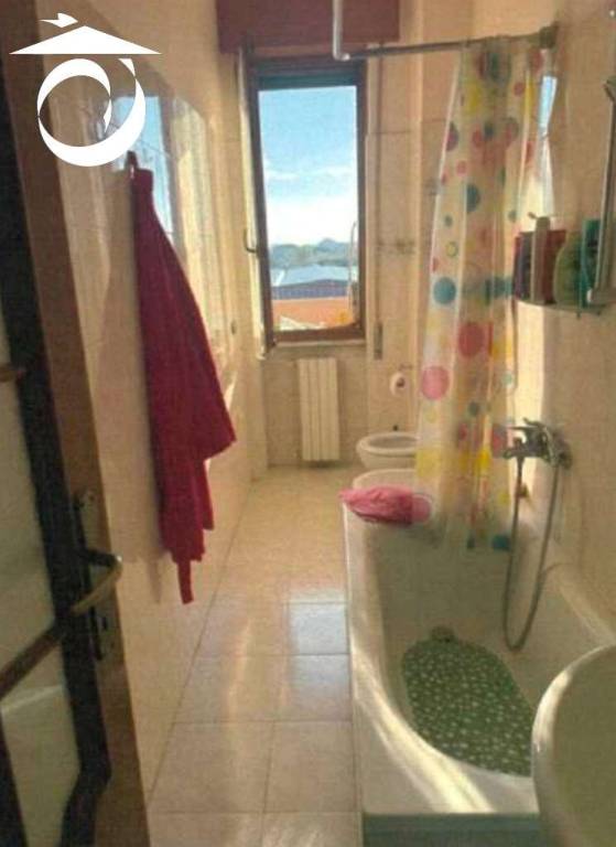 immagine annuncio 9 di 14