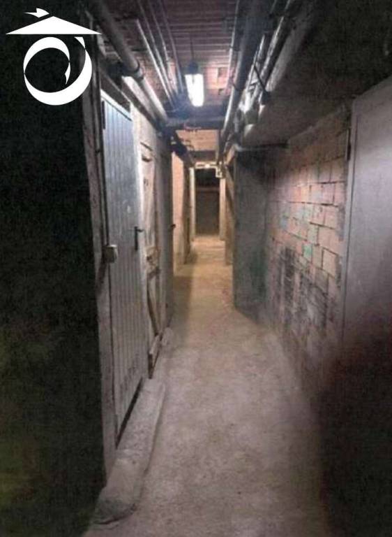 immagine annuncio 12 di 14