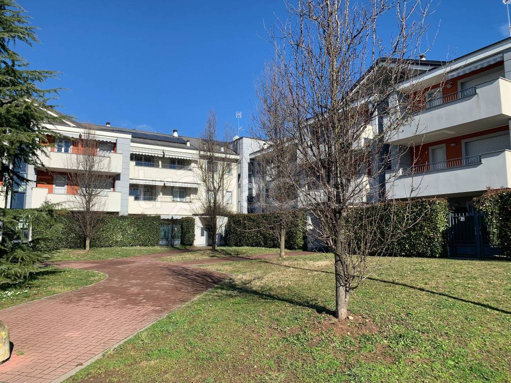 immagine annuncio 1 di 15