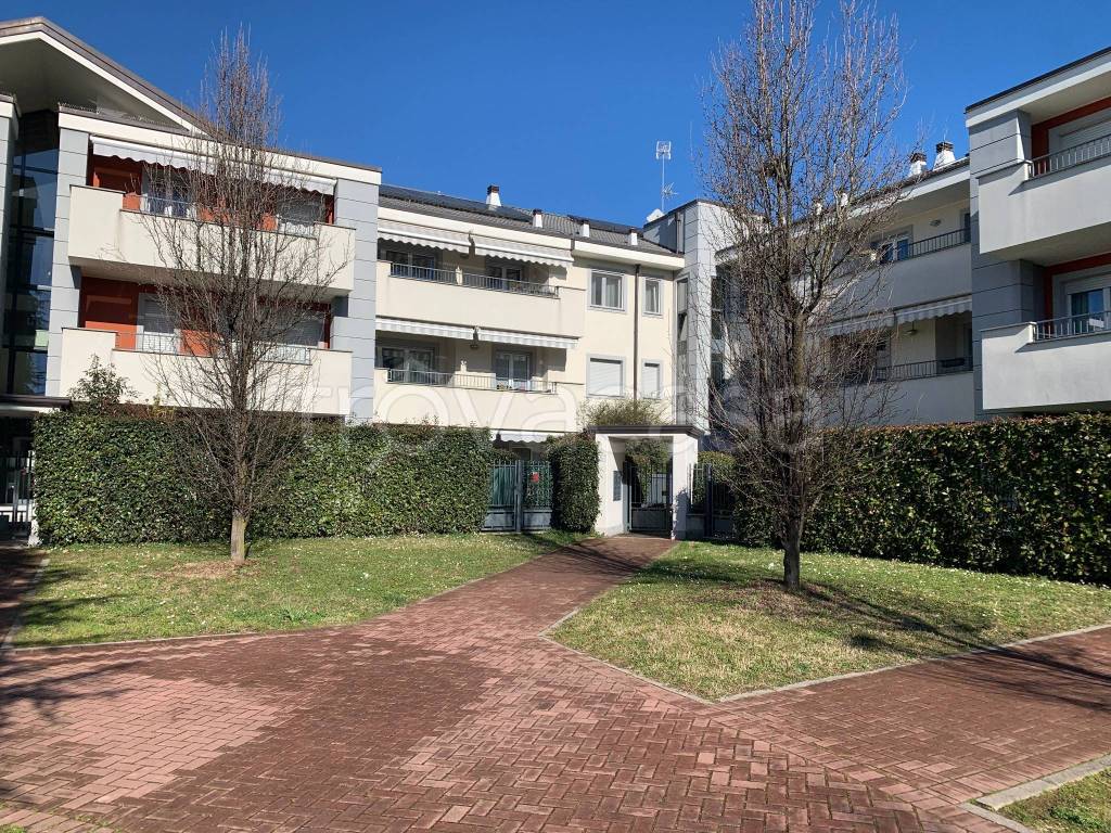 immagine annuncio 2 di 15