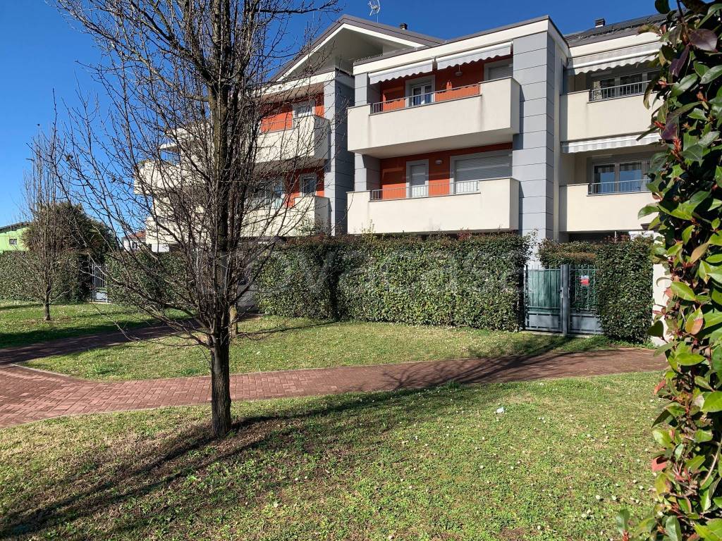 immagine annuncio 4 di 15