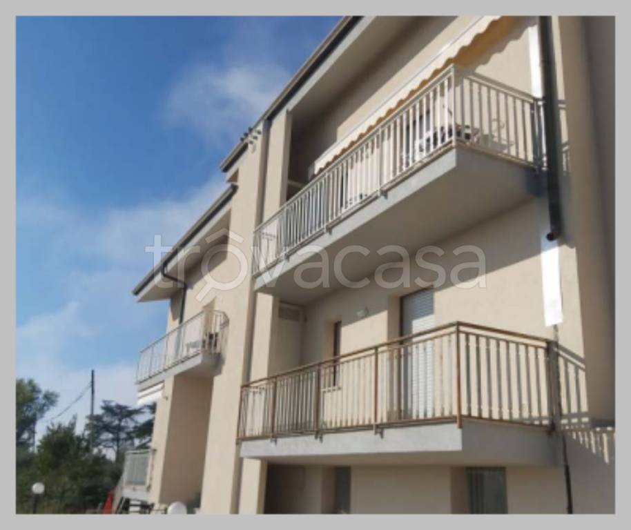 immagine annuncio 10 di 15