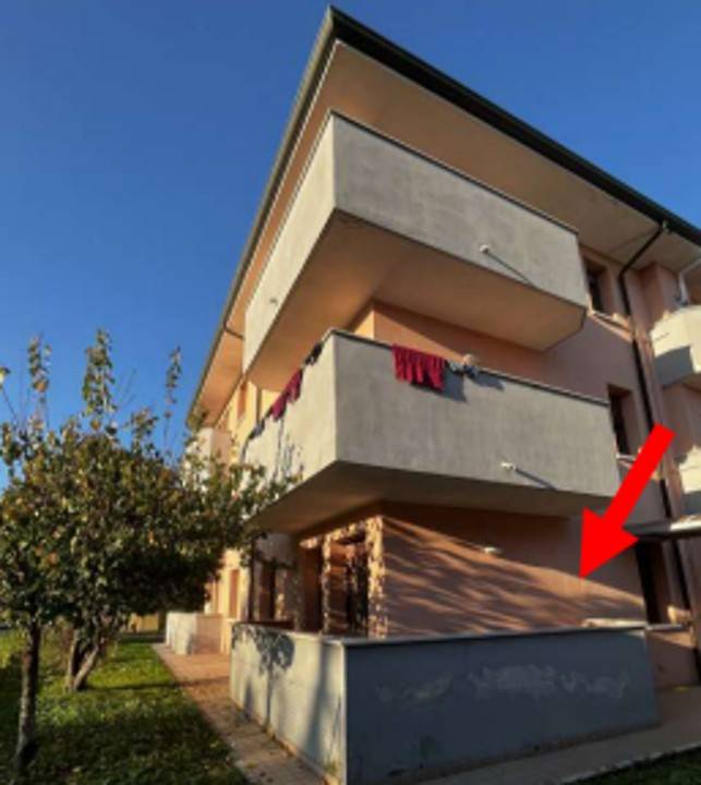 immagine annuncio 1 di 15