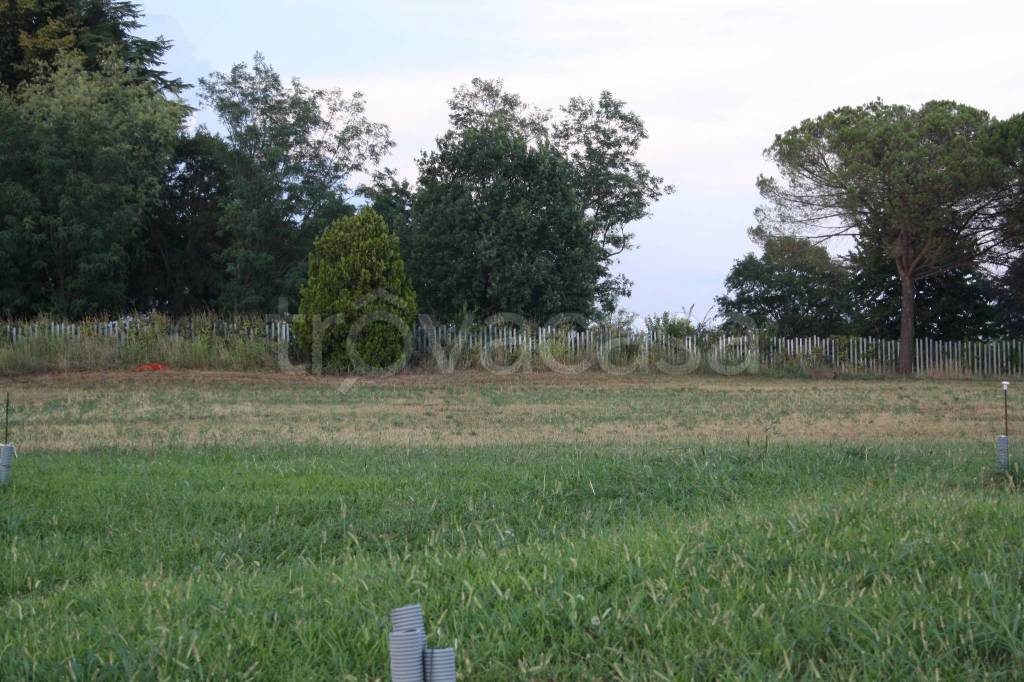 immagine annuncio 3 di 7