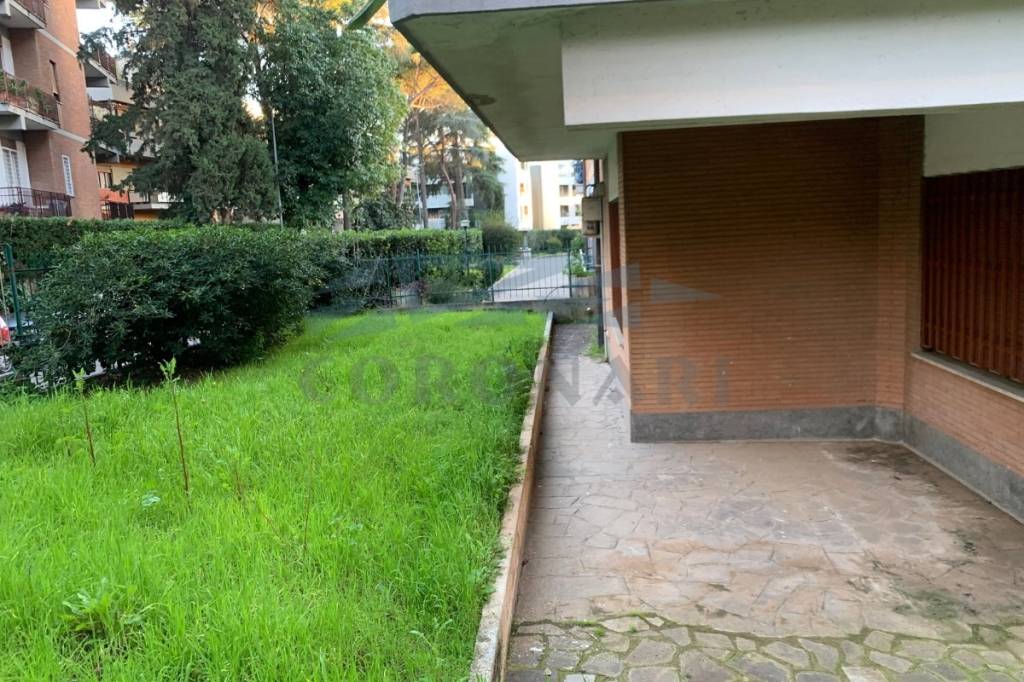 immagine annuncio 1 di 6