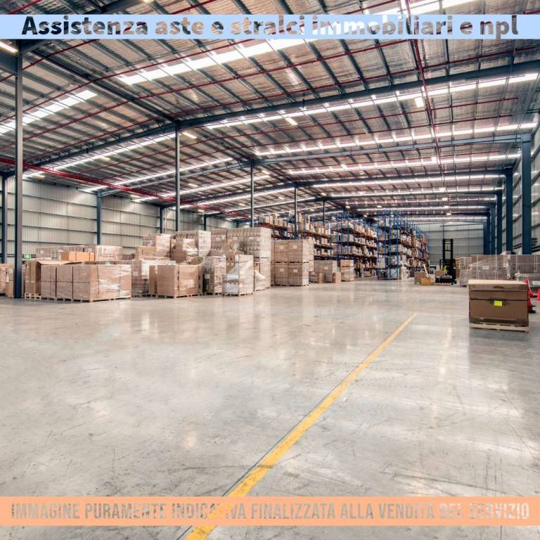 immagine annuncio 3 di 6