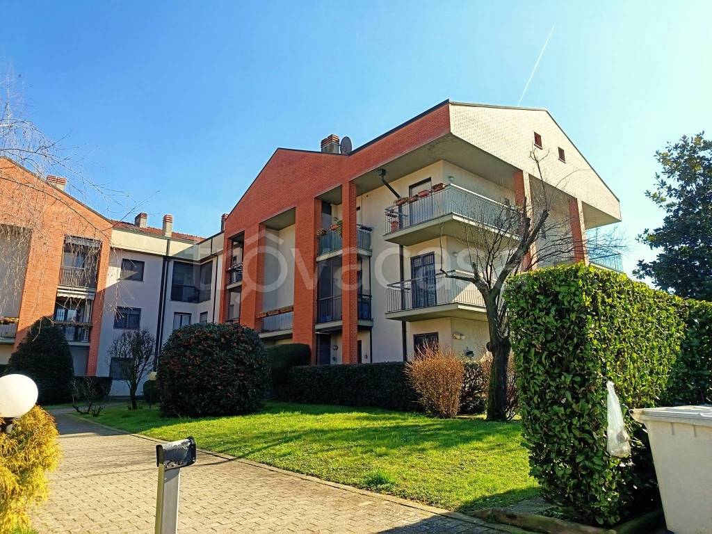 immagine annuncio 1 di 15