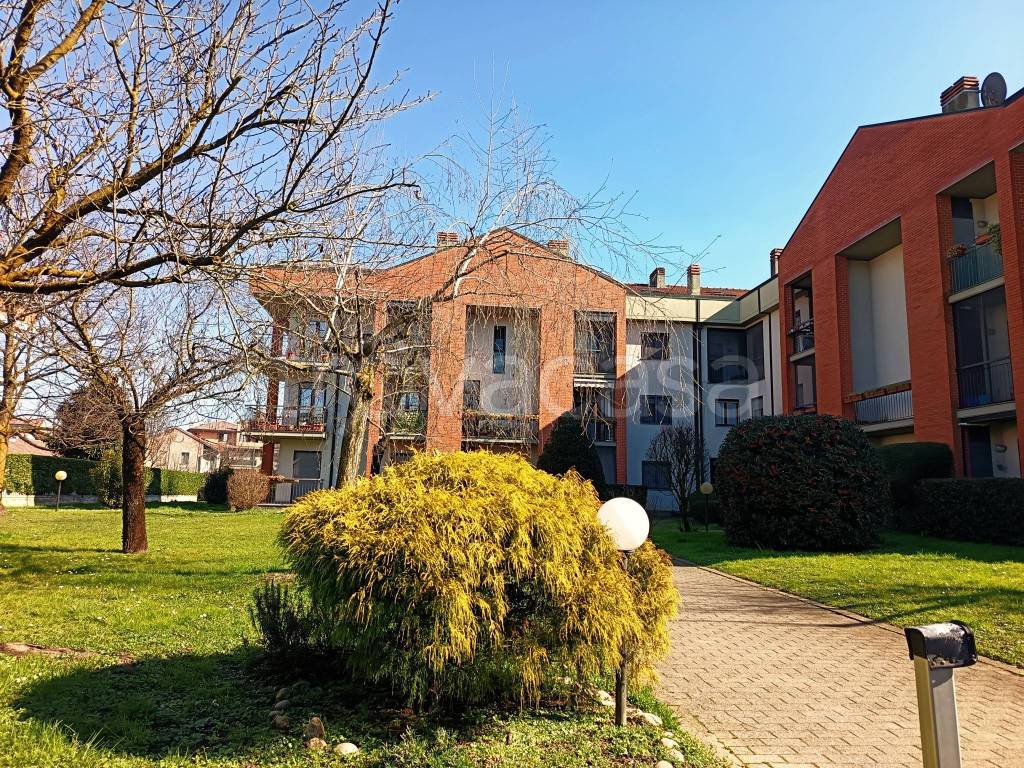 immagine annuncio 2 di 15