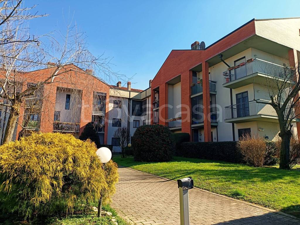 immagine annuncio 3 di 15