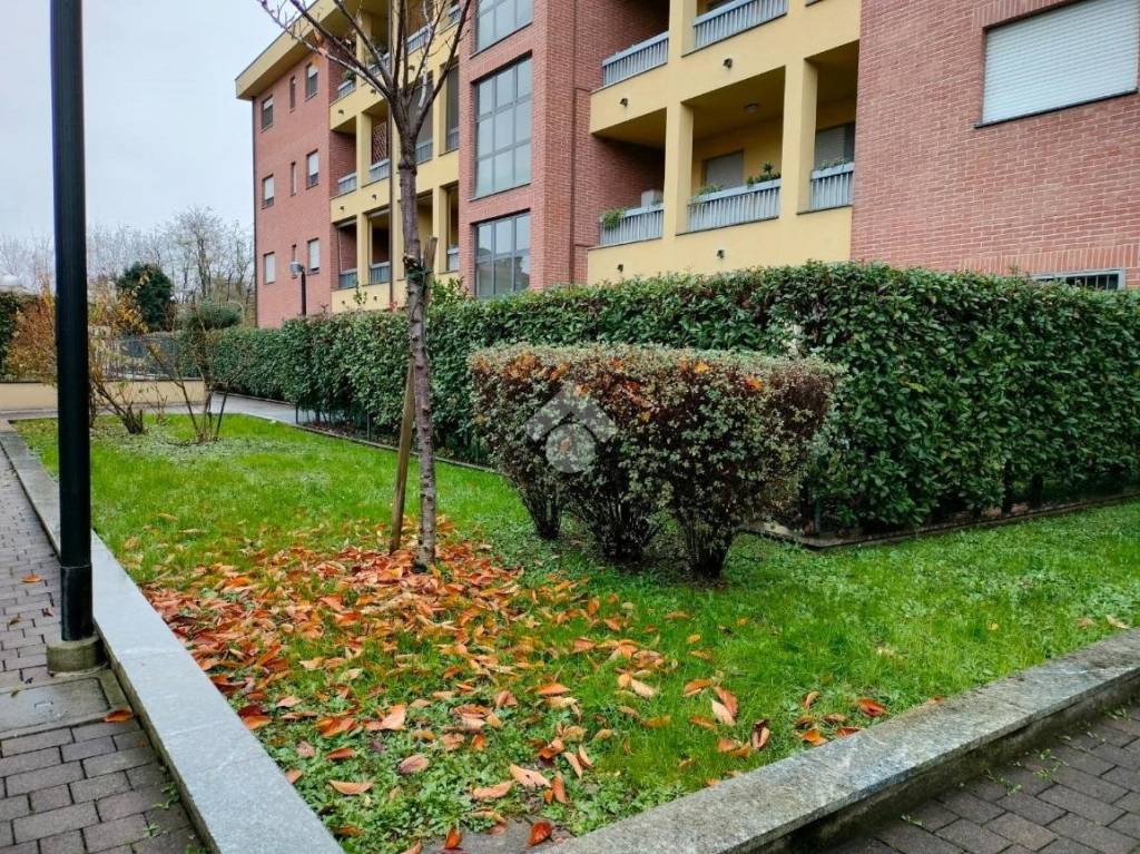 immagine annuncio 1 di 3