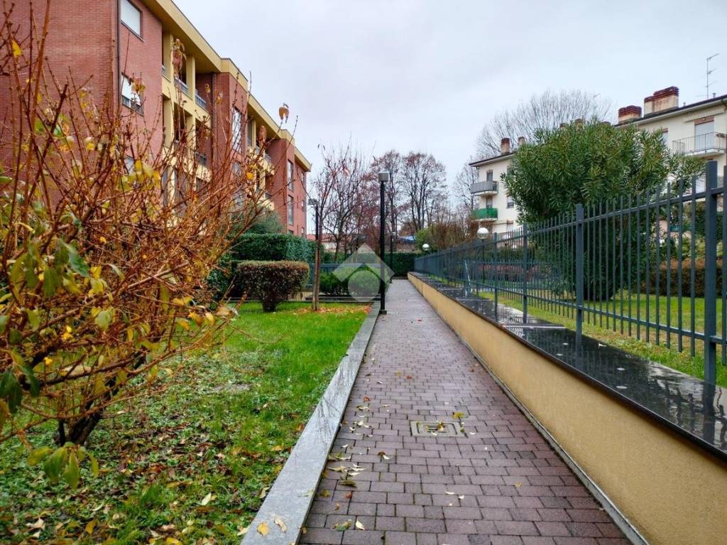 immagine annuncio 2 di 3