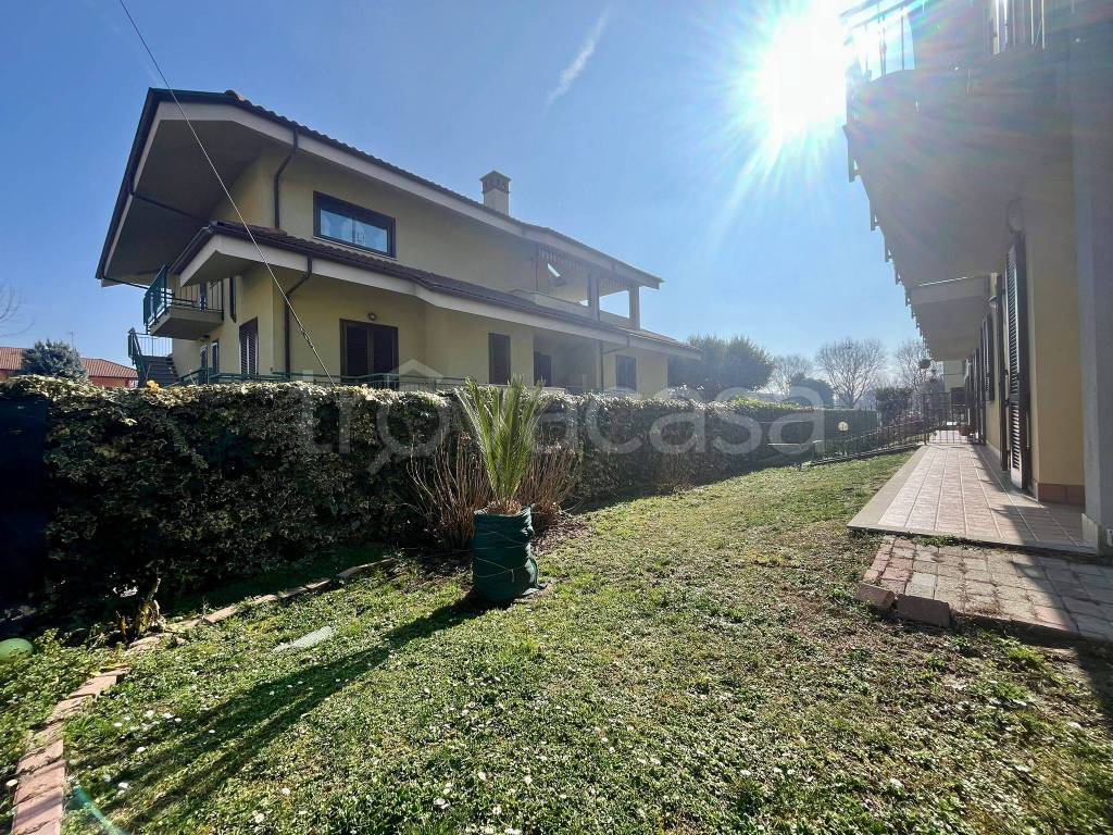 immagine annuncio 14 di 15