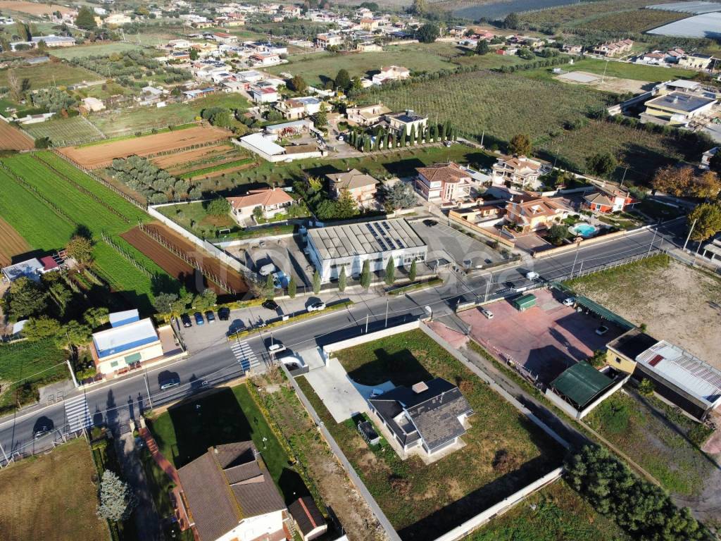 immagine annuncio 4 di 11