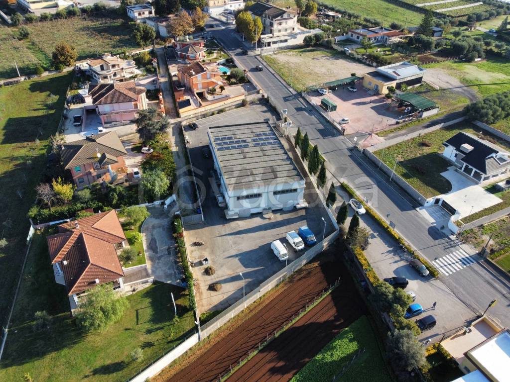 immagine annuncio 7 di 11