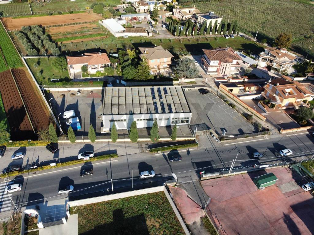 immagine annuncio 10 di 11