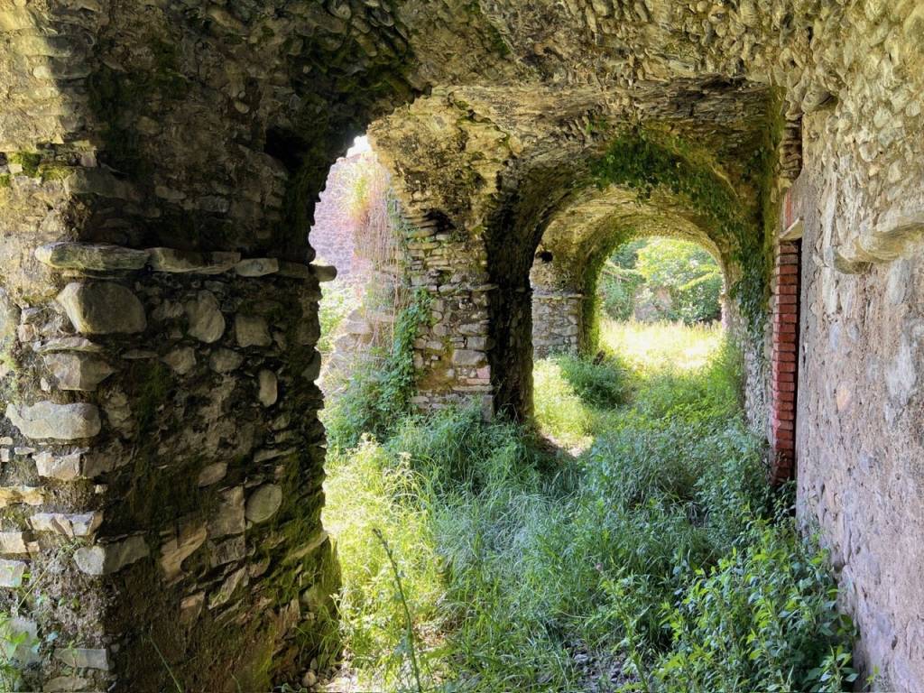 immagine annuncio 10 di 14