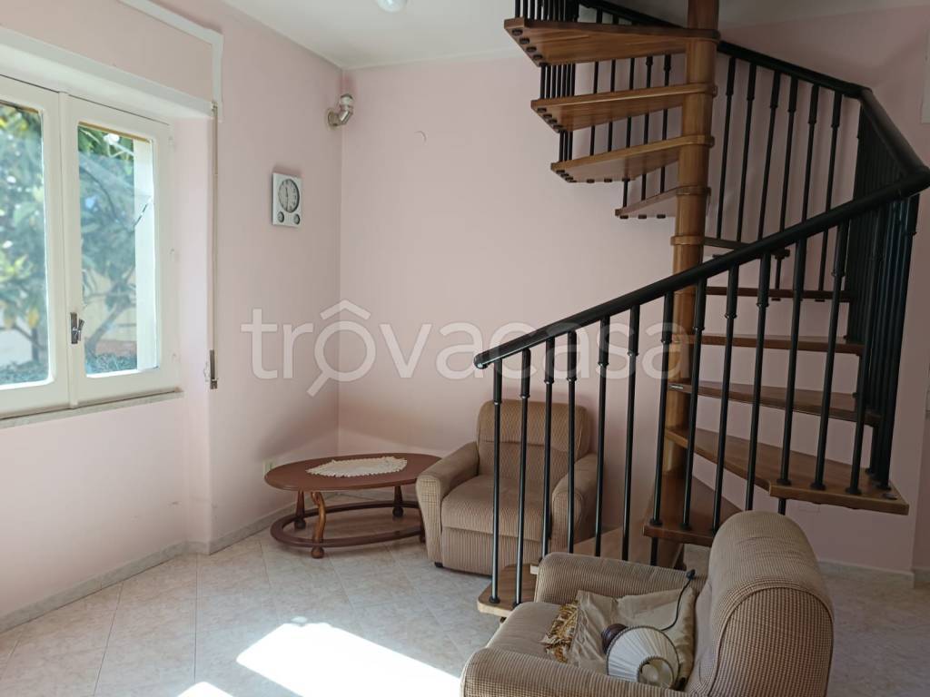 immagine annuncio 7 di 14