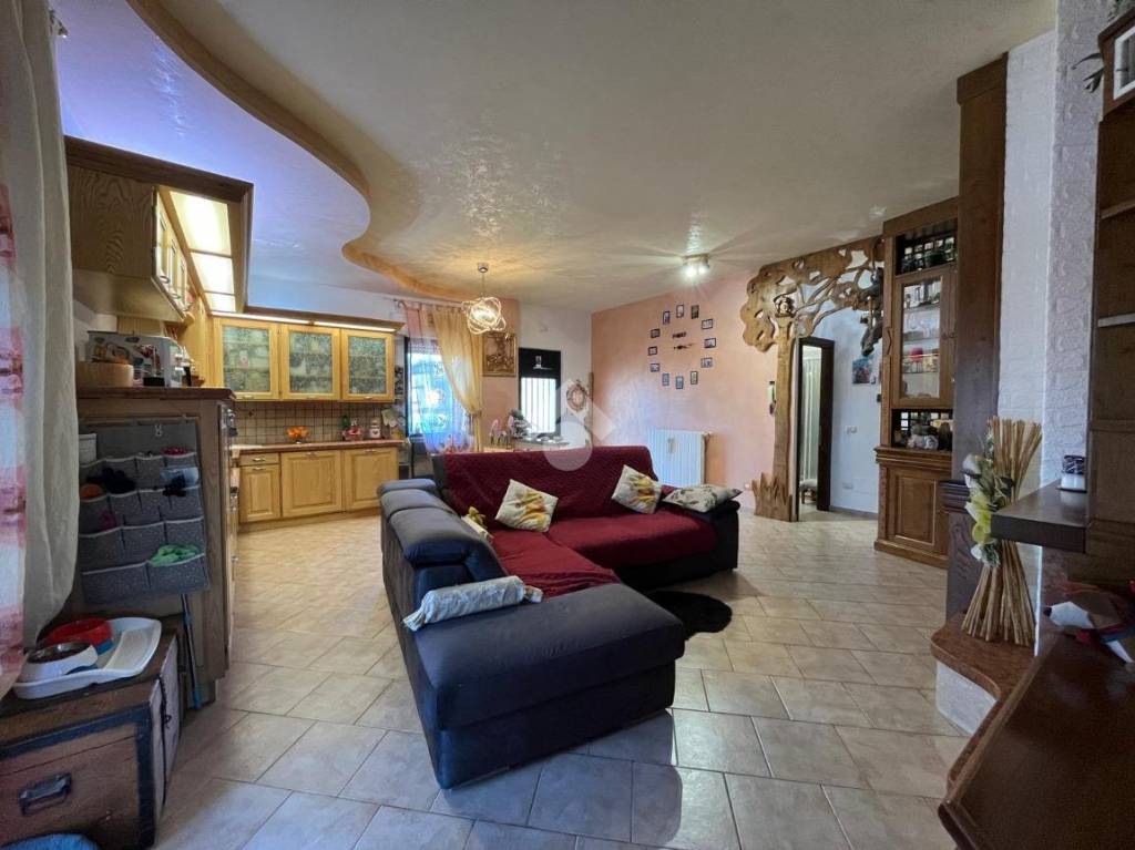 immagine annuncio 9 di 15