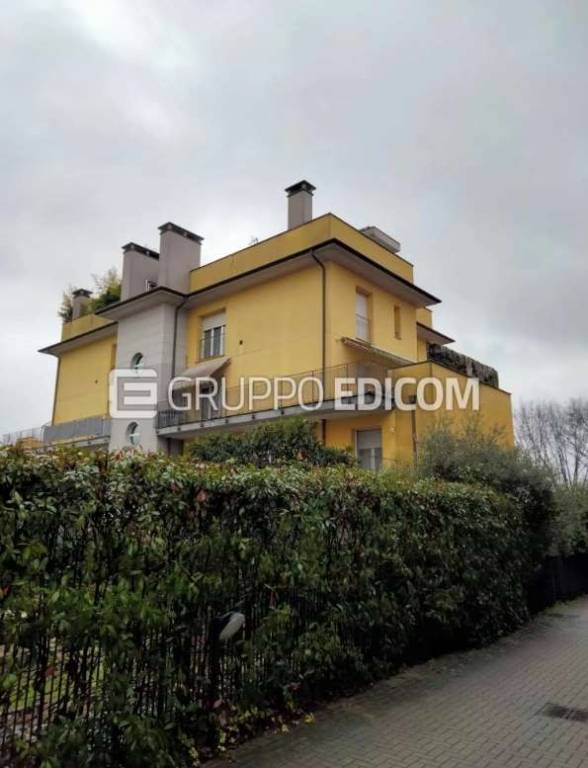 immagine annuncio 11 di 15