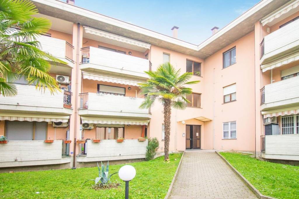 immagine annuncio 1 di 15