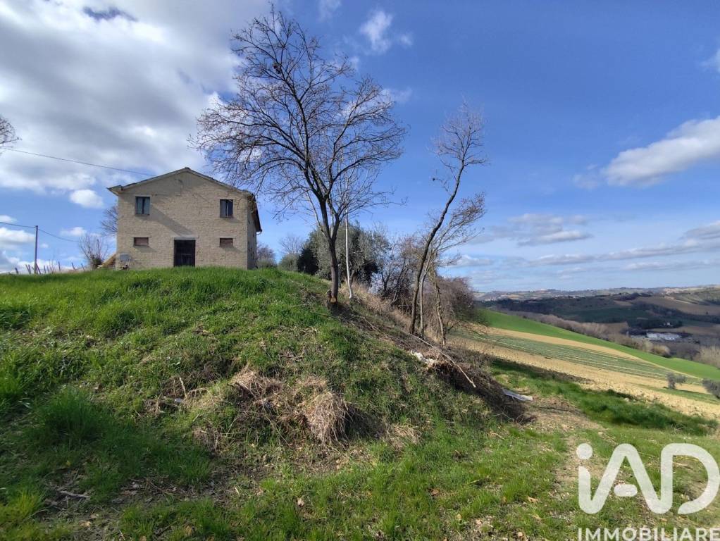 immagine annuncio 2 di 11