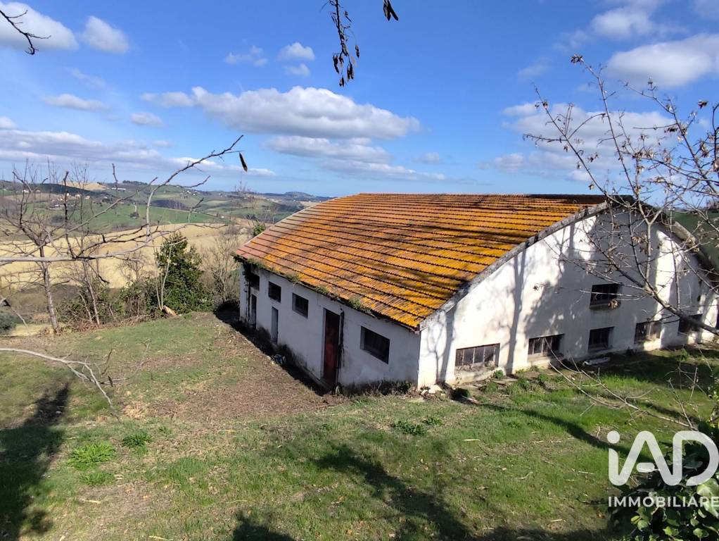 immagine annuncio 9 di 11