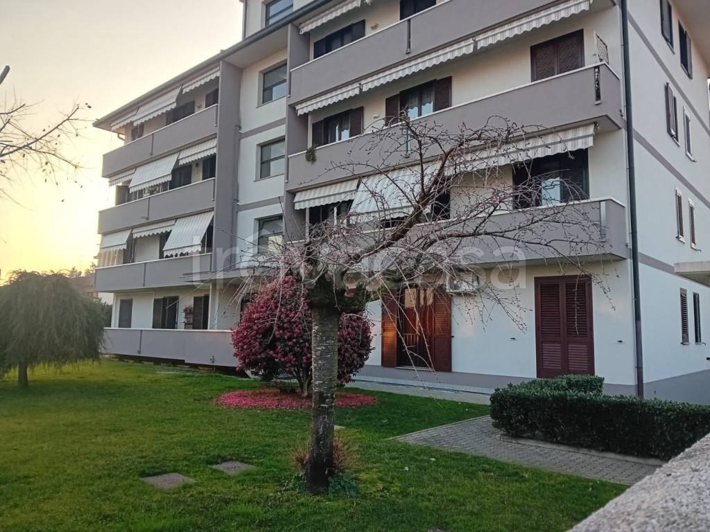 immagine annuncio 1 di 4