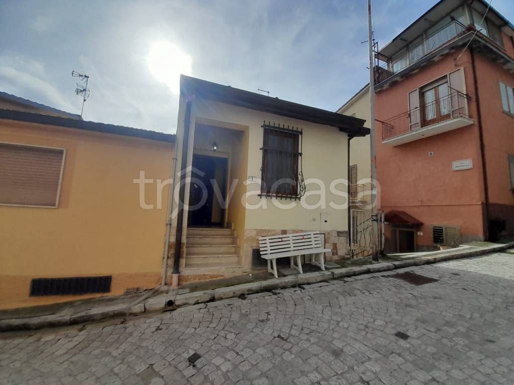 immagine annuncio 12 di 14