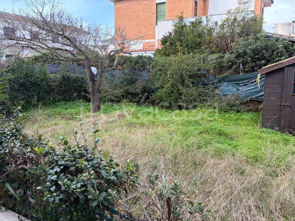 immagine annuncio 4 di 13