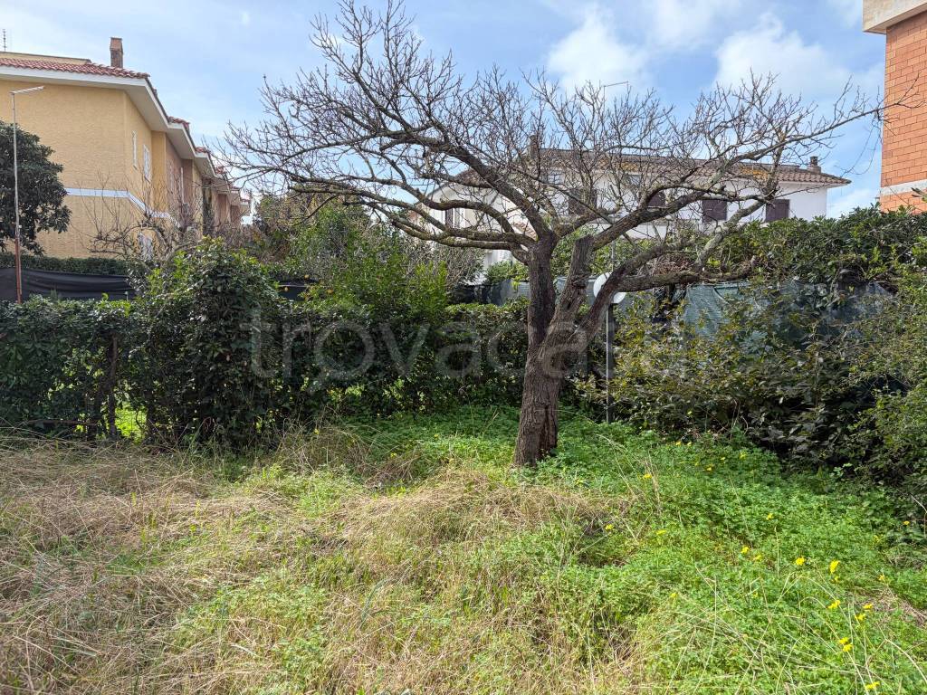 immagine annuncio 6 di 13