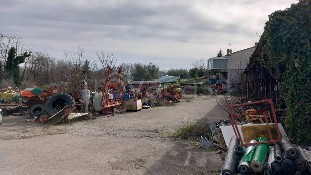 immagine annuncio 2 di 15