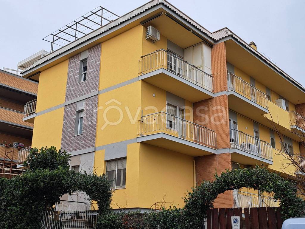 immagine annuncio 10 di 14