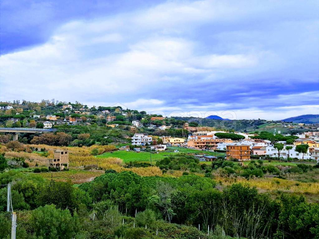 immagine annuncio 11 di 14